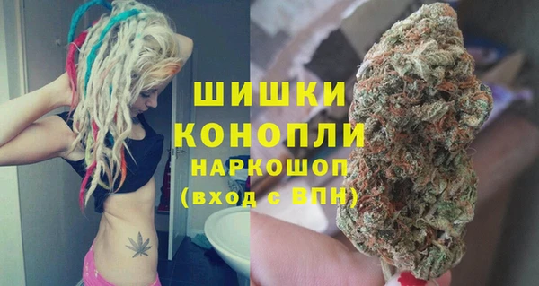 стаф Арсеньев