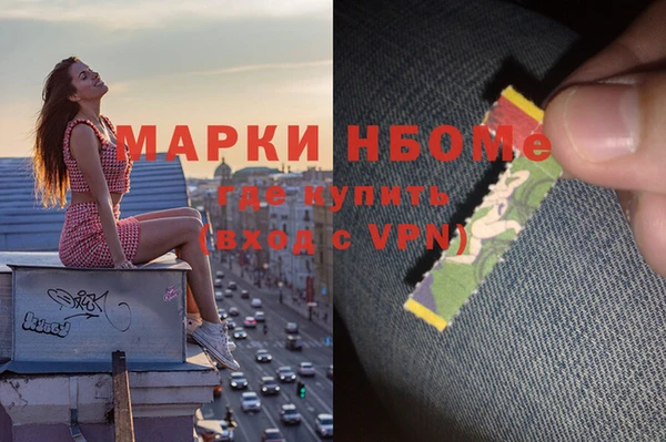 молекула духа Осташков